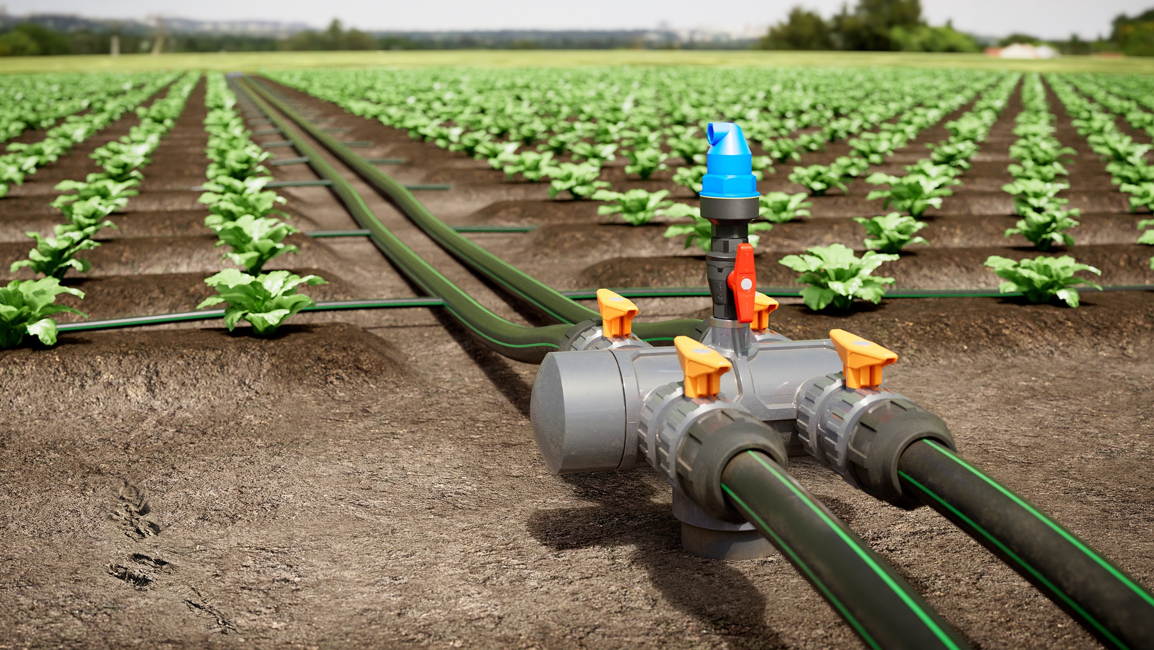 Nuevo colector “hammer”